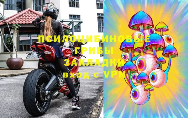 стафф Осинники