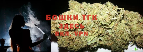 стаф Володарск
