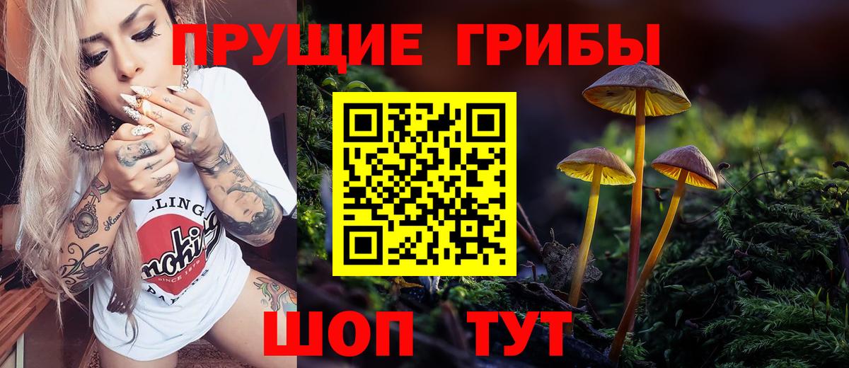 Псилоцибиновые грибы мухоморы Кунгур