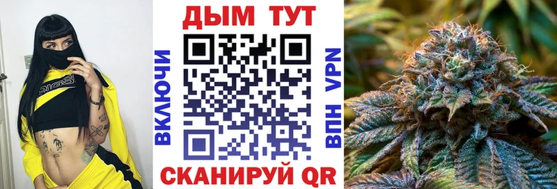 Каннабис семена  Кунгур 